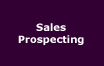 Sales Prospecting